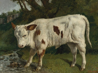 Le Veau blanc - Gustave Courbet — weergave van het kunstwerk