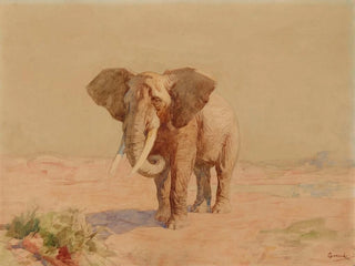 Gustave Surand - Elphant.webp