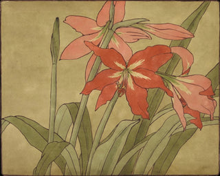 Amaryllis - Hannah Borger Overbeck — weergave van het kunstwerk