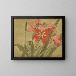 Amaryllis - Hannah Borger Overbeck — ingelijst kunstwerk aan de muur