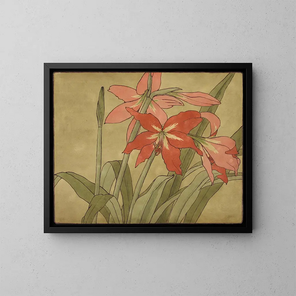 Amaryllis - Hannah Borger Overbeck — framed artwork on a wall