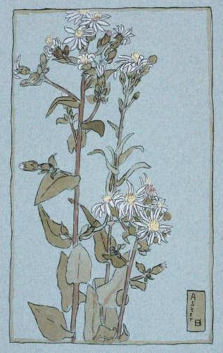 Hannah Borger Overbeck - Aster on Green Ground.webp