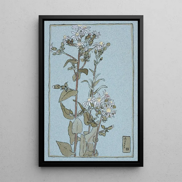 Aster sur fond vert - Hannah Borger Overbeck — framed artwork on a wall
