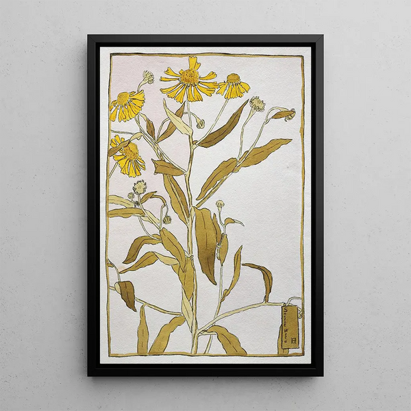 Herbe à éternuer - Hannah Borger Overbeck — framed artwork on a wall