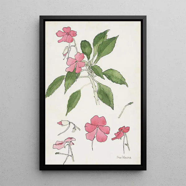 Sultane - Hannah Borger Overbeck — framed artwork on a wall