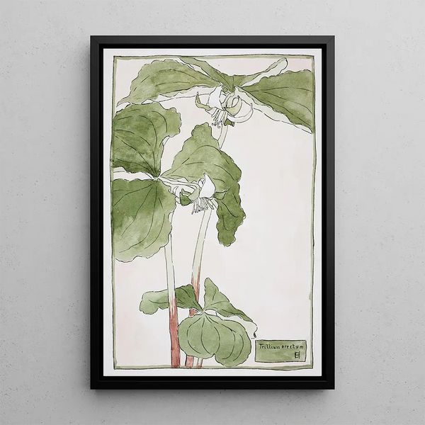 Trille dressé - Hannah Borger Overbeck — framed artwork on a wall