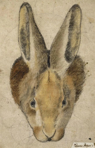 Hans Asper - Hase von vorn.webp