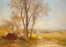 Landschapschilderij Zomer - Hans Divok — weergave van het kunstwerk