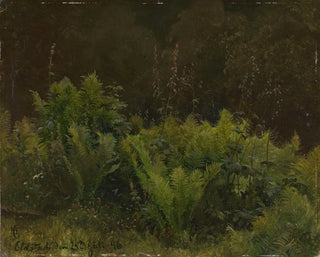 Studie van varens - Hans Gude — weergave van het kunstwerk