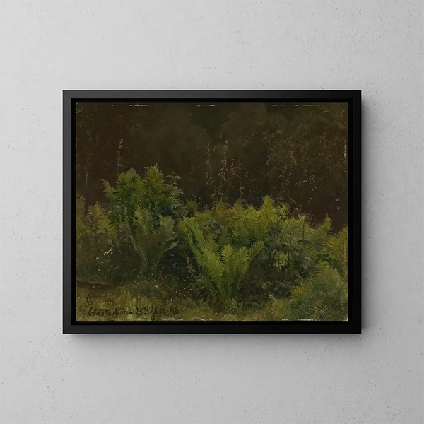 Study of Ferns - Hans Gude — framed artwork on a wall