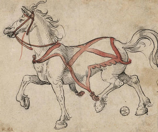 Paard van draaf - Hans Holbein de Jonge — weergave van het kunstwerk