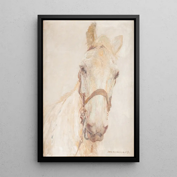 Wit paard - Hans Kohlschein — ingelijst kunstwerk aan de muur