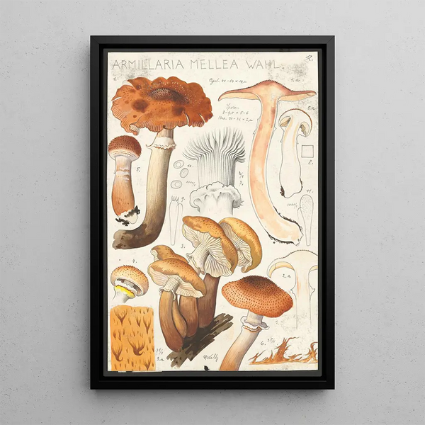 Armillaire kleur van honing Wahl - Hans Baldung | Reproduction — ingelijst kunstwerk aan de muur