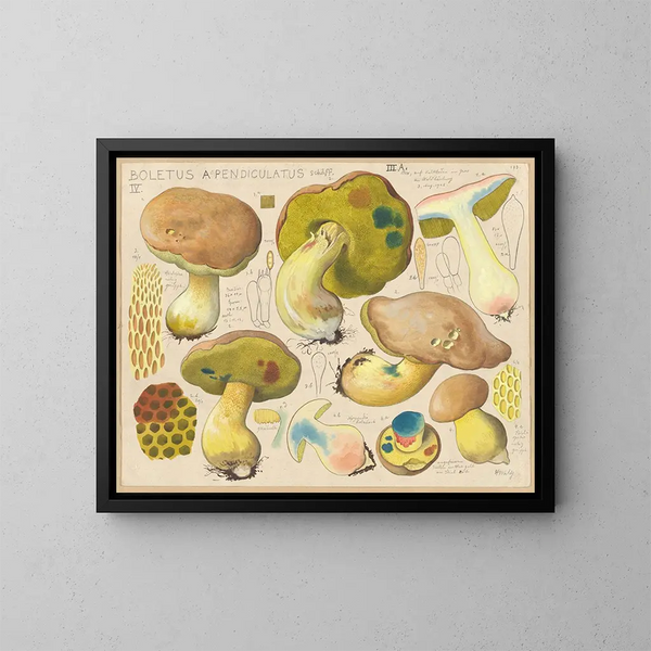 Boletus appendiculatus - Hans Baldung — framed artwork on a wall
