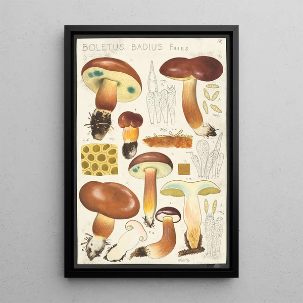 Bolet bai Fries - Hans Baldung — ingelijst kunstwerk aan de muur