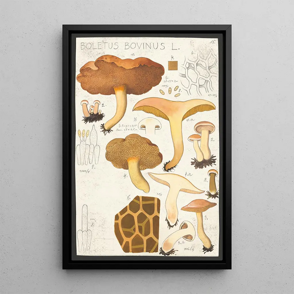 Boletus bovinus L - Hans Baldung — ingelijst kunstwerk aan de muur