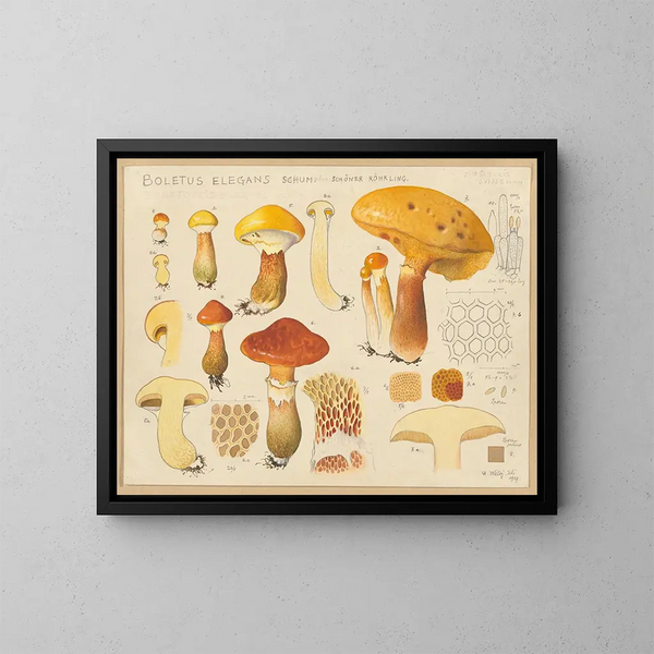 Elegant Bolet Painting - Hans Baldung — framed artwork on a wall