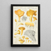 Cantharellus cibarius Fr - Hans Baldung — ingelijst kunstwerk aan de muur