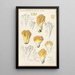 Clavaria aurea Schff - Hans Baldung — ingelijst kunstwerk aan de muur