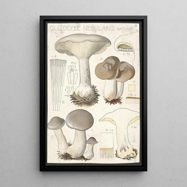 Clitocybe nébuleux Batsch 2 - Hans Baldung — ingelijst kunstwerk aan de muur