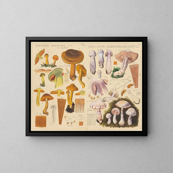 Dermocybe cinnamomea Inoloma alboviolaceum - Hans Baldung — ingelijst kunstwerk aan de muur