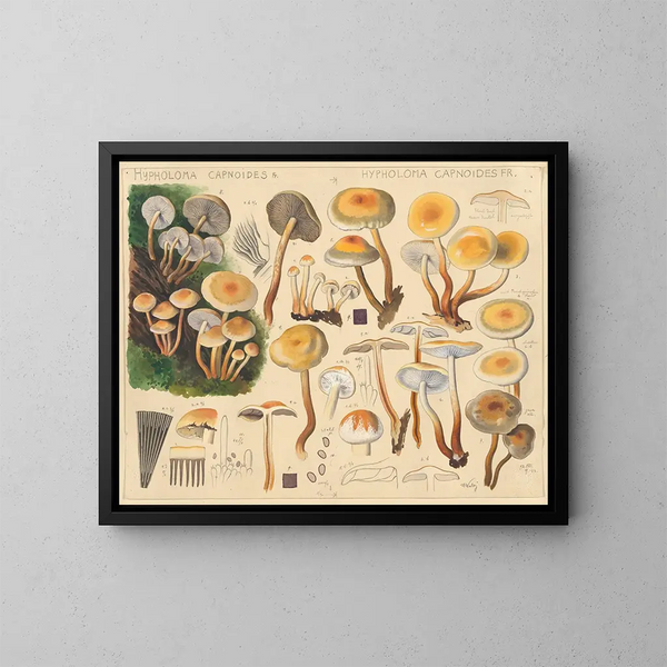 Hypholoma capnoides - Hans Baldung — ingelijst kunstwerk aan de muur