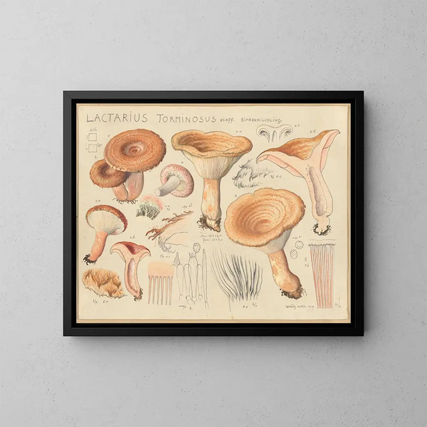 Lactaire torminosus - Hans Baldung — ingelijst kunstwerk aan de muur