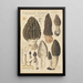 Morchella elata - Hans Baldung — framed artwork on a wall