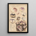 Peziza coronaria - Hans Baldung — ingelijst kunstwerk aan de muur