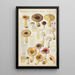 Russula puellaries - Hans Baldung — ingelijst kunstwerk aan de muur