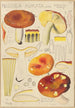 Russula aurata - Hans Baldung — weergave van het kunstwerk