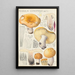 Russula constans - Hans Baldung — framed artwork on a wall