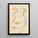 Russula lactea - Hans Baldung — framed artwork on a wall