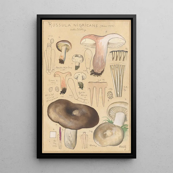 Russula nigricans - Hans Baldung — framed artwork on a wall