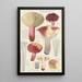 Russula secretan - Hans Baldung — ingelijst kunstwerk aan de muur