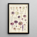 Russula serotina Russula myrtilla - Hans Baldung — ingelijst kunstwerk aan de muur