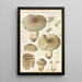 Tricholoma pardinum quelet - Hans Baldung — ingelijst kunstwerk aan de muur