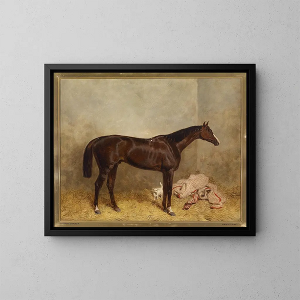Prins Charlie - Harald R. Hall — ingelijst kunstwerk aan de muur