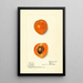 Prunus mume Sharpe - Harriet L Thompson — ingelijst kunstwerk aan de muur