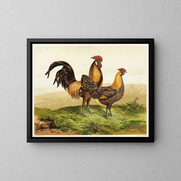 Golden Hambourgs Painting with Pencil - Harrison Weir — framed artwork on a wall