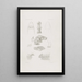 Memoires du Musée de Zoologie Comparée de l'Université Harvard Pl02 - Musée de Zoologie Comparée de l'Université Harvard — ingelijst kunstwerk aan de muur