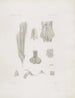 Mémoires du Musée de zoologie comparée du Harvard College Pl03 - Musée de Zoologie Comparée de l'Université Harvard — artwork view