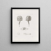 Memoires du Musée de zoologie comparée du Harvard College Pl25 - Musée de Zoologie Comparée de l'Université Harvard — ingelijst kunstwerk aan de muur