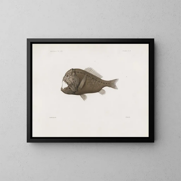 Harvard University Museum of Comparative Zoology Memories Painting Pl86 - Harvard University Museum of Zoology — framed artwork on a wall