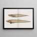 Memoirs of the 89th - Harvard University Museum of Comparative Zoology — ingelijst kunstwerk aan de muur
