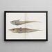Memoirs of the Pl91 - Harvard University Museum of Comparative Zoology — ingelijst kunstwerk aan de muur