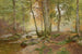 Boslandschap - Heinrich Böhmer — weergave van het kunstwerk