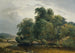 Landschap met kudde en herder - Heinrich Peyer — weergave van het kunstwerk