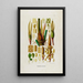 Aroideae Maximilianae Pl42 - Heinrich Wilhelm Schott — framed artwork on a wall