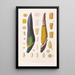 Icones Aroidearum Pl09 - Heinrich Wilhelm Schott — framed artwork on a wall
